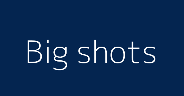 Big shots  Definitions & Meanings That Nobody Will Tell You.