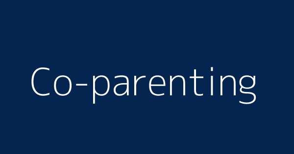 Co Parenting Definitions Meanings That Nobody Will Tell You