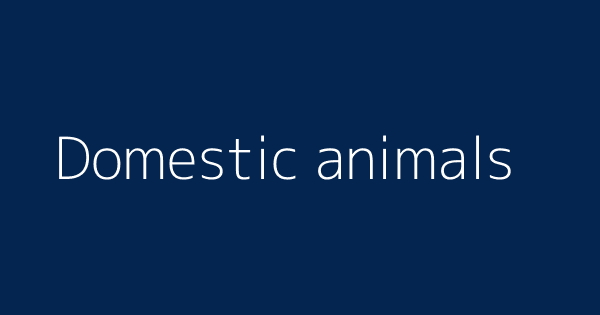Domestic animals | Definitions & Meanings That Nobody Will Tell You. Domestic animals | Definitions & Meanings That Nobody Will Tell You.