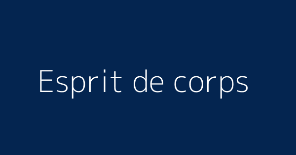 Esprit De Corps Definitions Meanings That Nobody Will Tell You