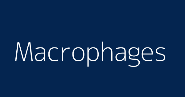 Macrophages Definitions Meanings That Nobody Will Tell You