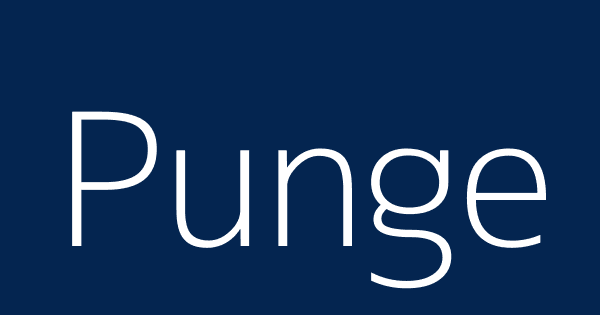Punge | Definitions & Meanings Nobody Will Tell You.