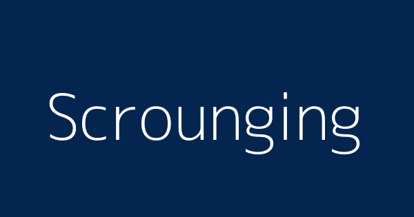 Scrounging Definition Scrounging Definition