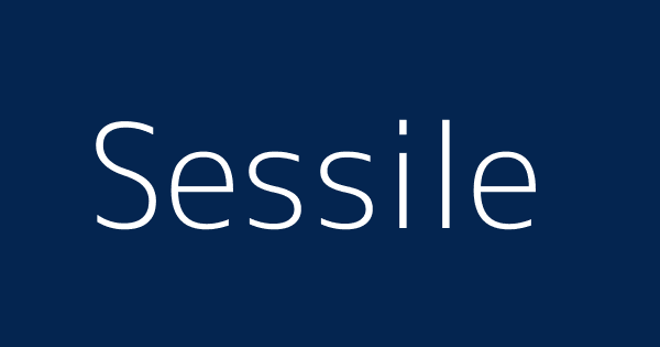 Sessile meaning
